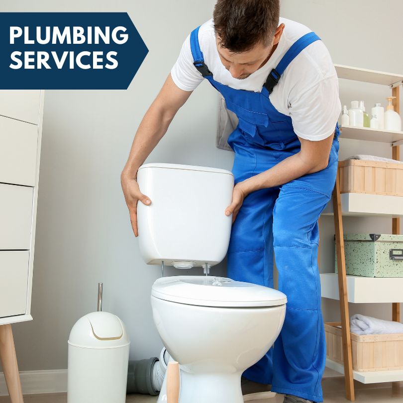 Plumbing Company in Coalmont, CO